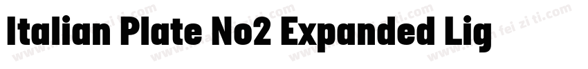 Italian Plate No2 Expanded Light字体转换